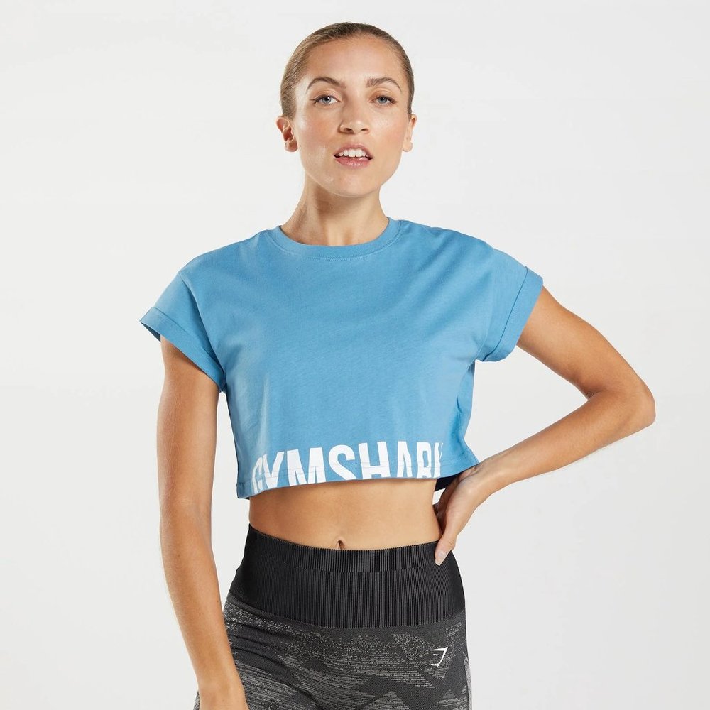 Gymshark Fraction Crop Top